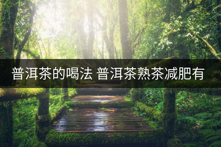 普洱茶的喝法 普洱茶熟茶減肥有什么效果嗎？