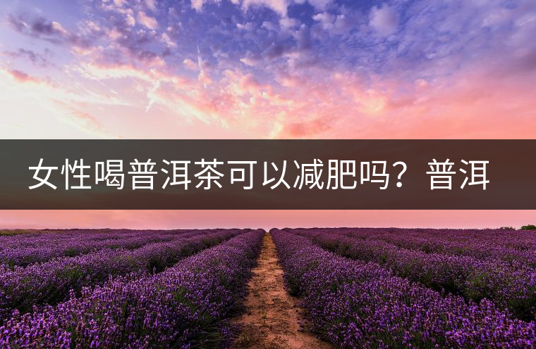 女性喝普洱茶可以減肥嗎？普洱茶的功效又有哪些呢？