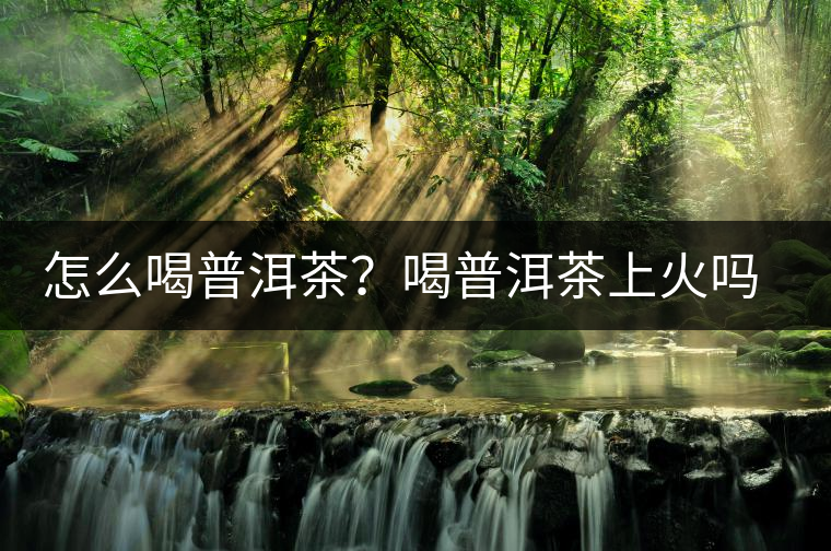 怎么喝普洱茶？喝普洱茶上火嗎？喝普洱茶會不會上火？