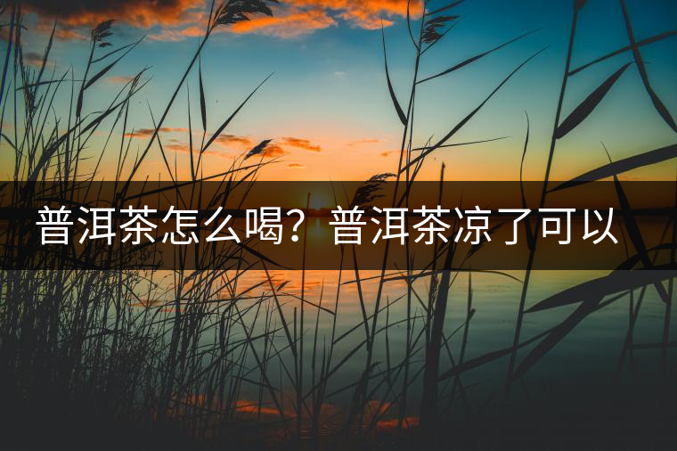 普洱茶怎么喝？普洱茶涼了可以喝嗎？