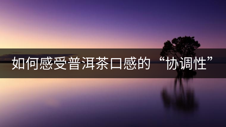 如何感受普洱茶口感的“協(xié)調(diào)性”？