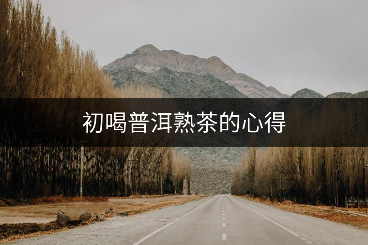 初喝普洱熟茶的心得