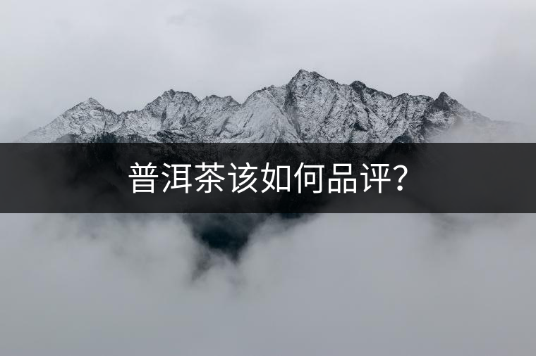 普洱茶該如何品評？