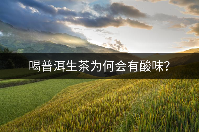喝普洱生茶為何會(huì)有酸味？