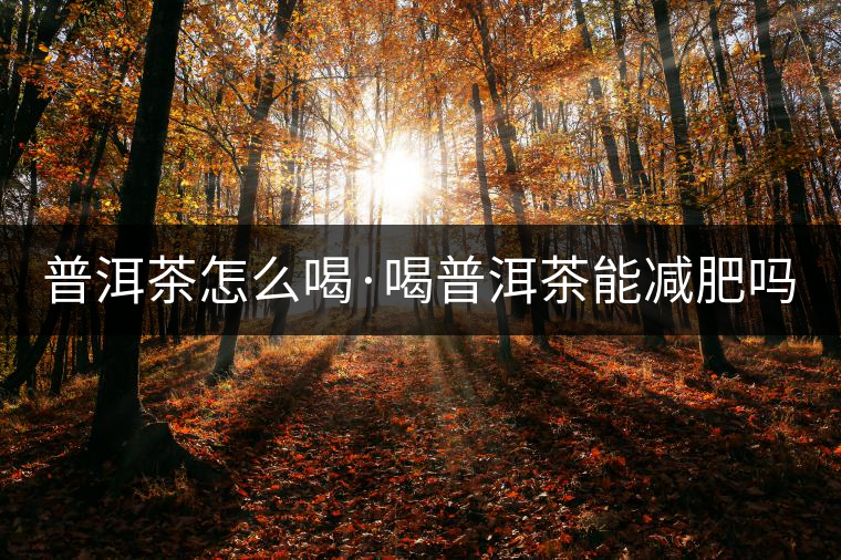 普洱茶怎么喝·喝普洱茶能減肥嗎？