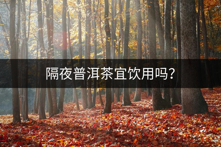 隔夜普洱茶宜飲用嗎？