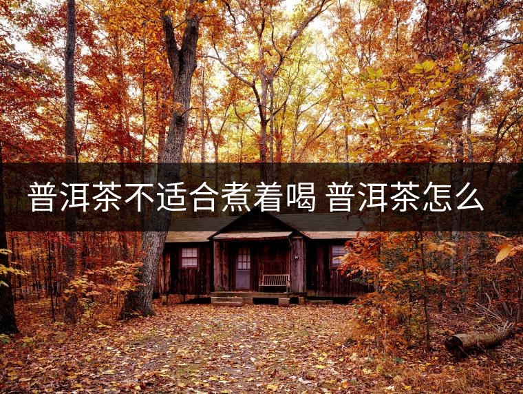 普洱茶不適合煮著喝 普洱茶怎么喝？