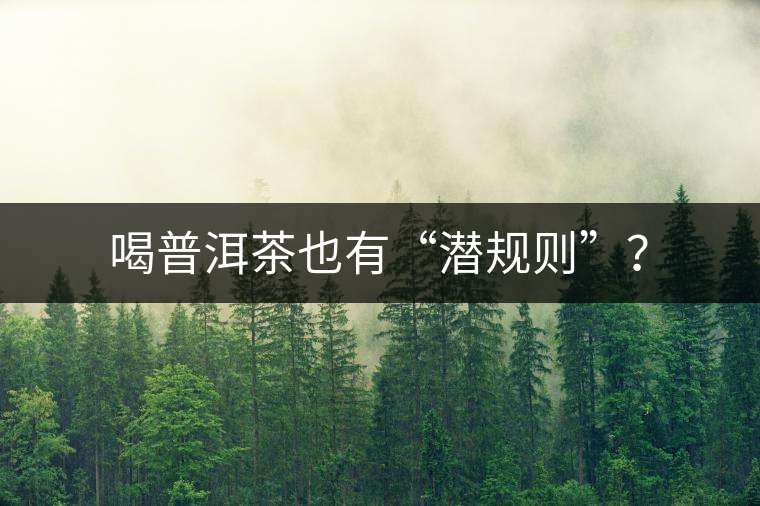 喝普洱茶也有“潛規(guī)則”？