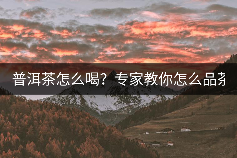 普洱茶怎么喝？專家教你怎么品茶？