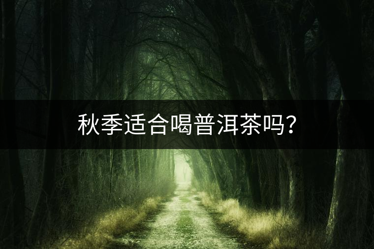 秋季適合喝普洱茶嗎？