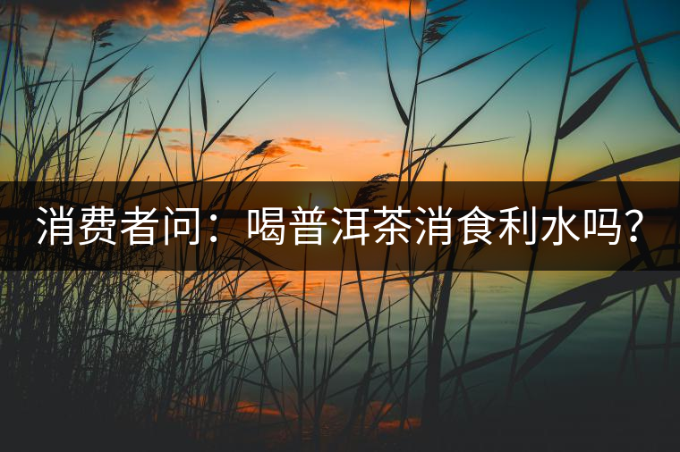 消費(fèi)者問(wèn)：喝普洱茶消食利水嗎？