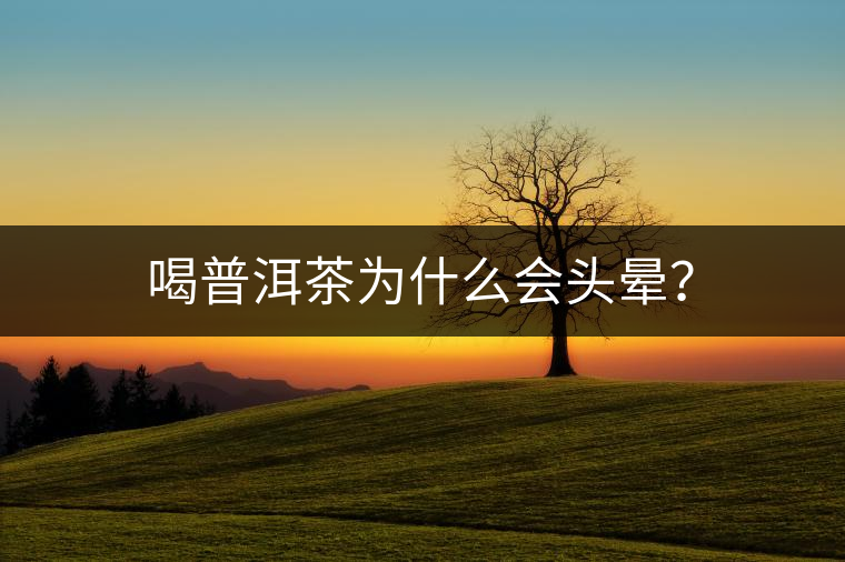 喝普洱茶為什么會(huì)頭暈？