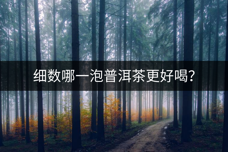 細(xì)數(shù)哪一泡普洱茶更好喝？