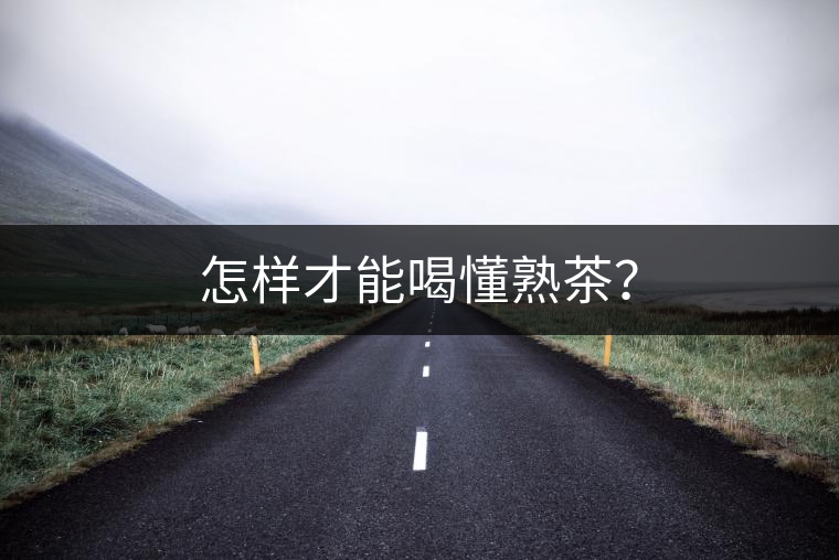 怎樣才能喝懂熟茶？