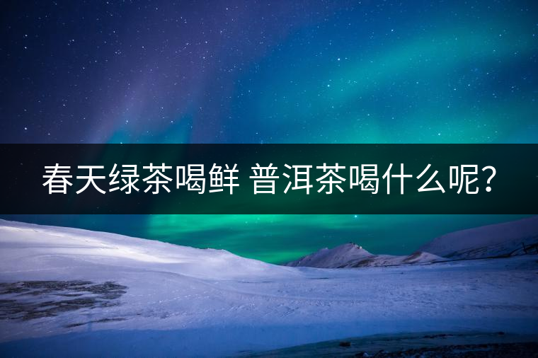 春天綠茶喝鮮 普洱茶喝什么呢？