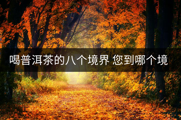 喝普洱茶的八個(gè)境界 您到哪個(gè)境界了？