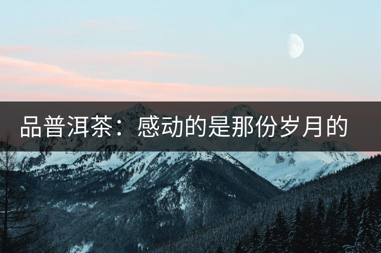 品普洱茶：感動(dòng)的是那份歲月的醇香