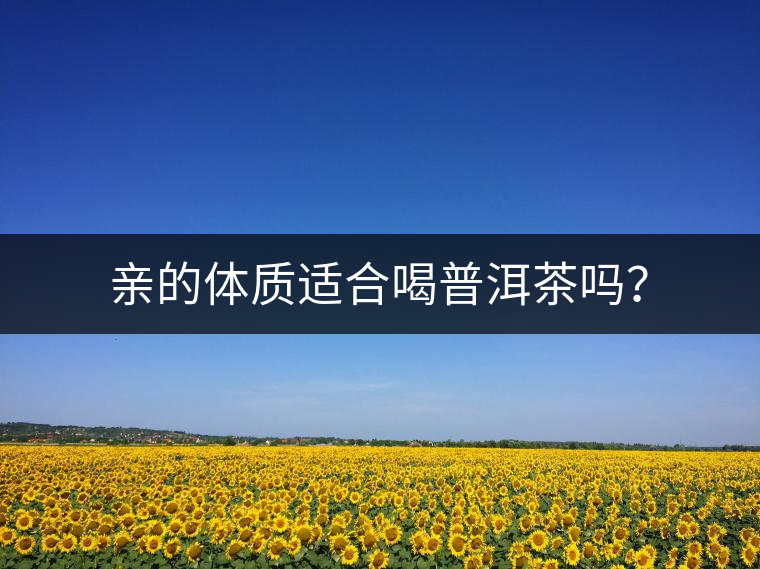 親的體質(zhì)適合喝普洱茶嗎？