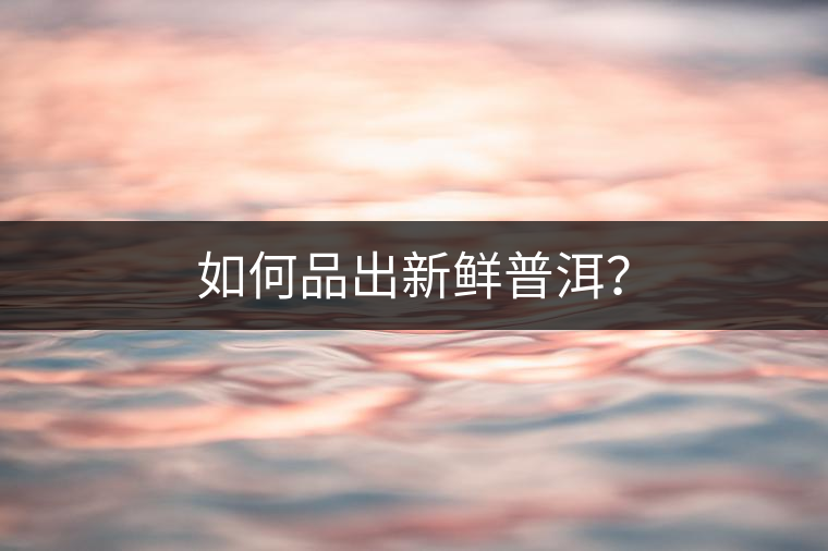 如何品出新鮮普洱？