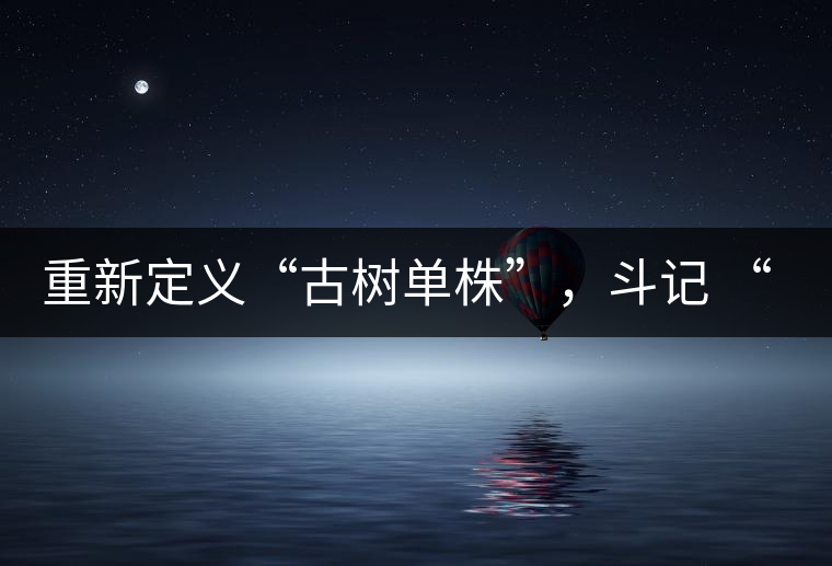 重新定義“古樹單株”，斗記 “超級(jí)審評(píng)”有償招募告罄在即！