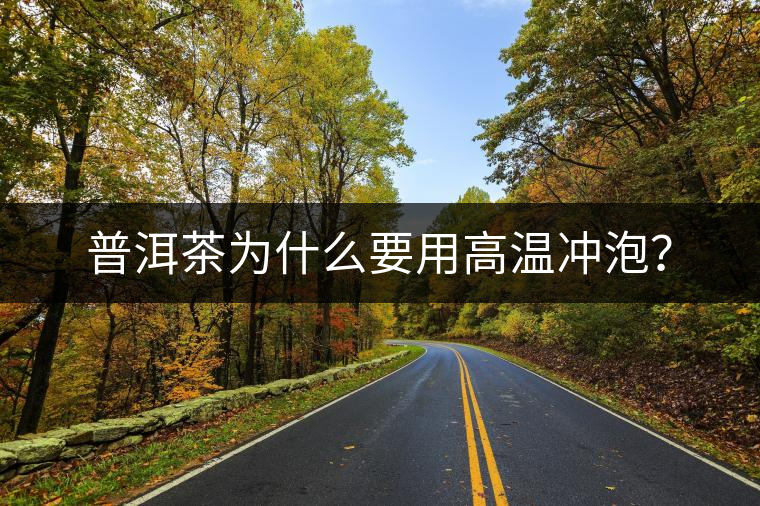 普洱茶為什么要用高溫沖泡？