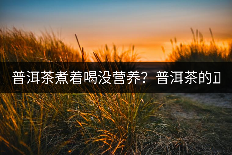 普洱茶煮著喝沒營養(yǎng)？普洱茶的正確煮法！