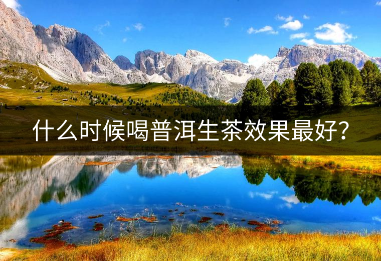 什么時候喝普洱生茶效果最好？