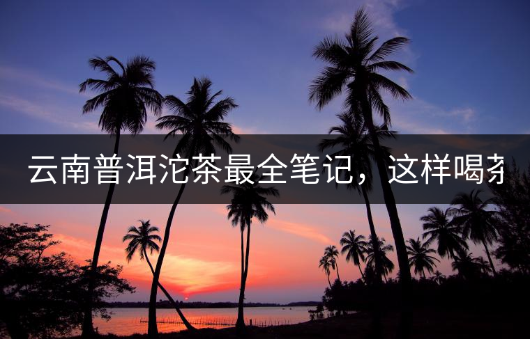 云南普洱沱茶最全筆記，這樣喝茶才更健康！