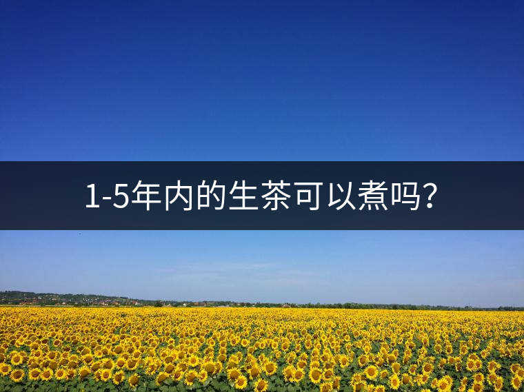 1-5年內(nèi)的生茶可以煮嗎？