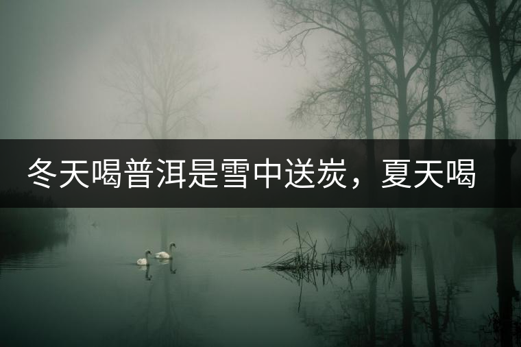 冬天喝普洱是雪中送炭，夏天喝就是火上澆油了？