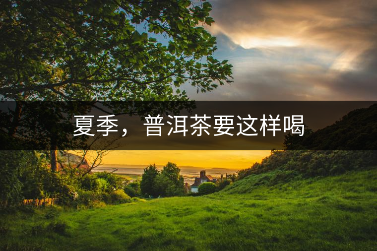 夏季，普洱茶要這樣喝