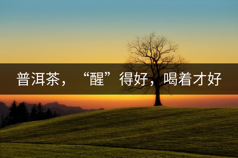 普洱茶，“醒”得好，喝著才好