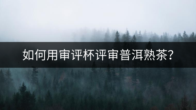 如何用審評(píng)杯評(píng)審普洱熟茶？