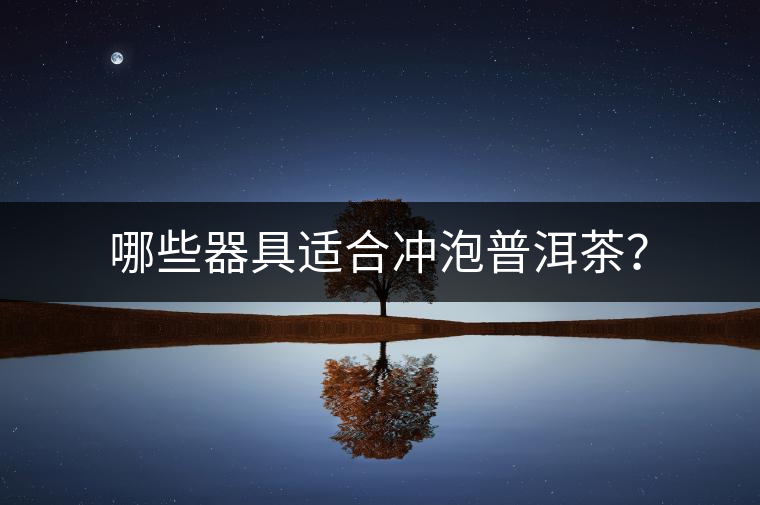 哪些器具適合沖泡普洱茶？