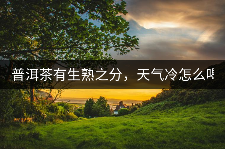普洱茶有生熟之分，天氣冷怎么喝？