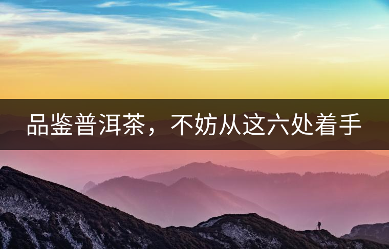 品鑒普洱茶，不妨從這六處著手