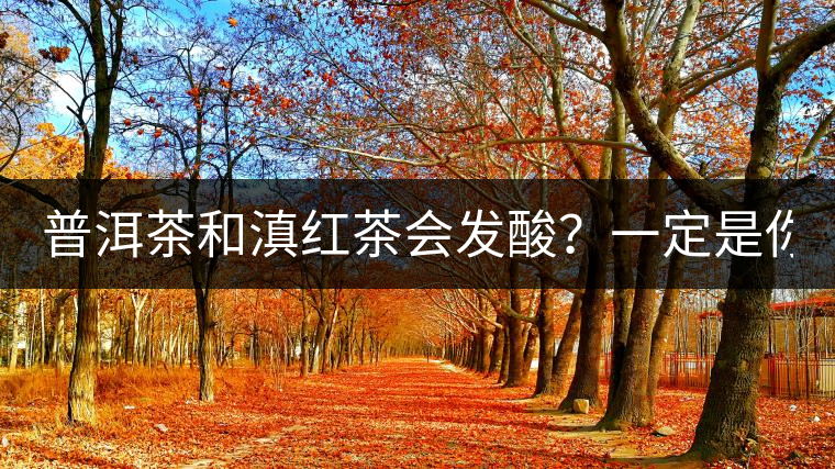 普洱茶和滇紅茶會(huì)發(fā)酸？一定是你這么做了！