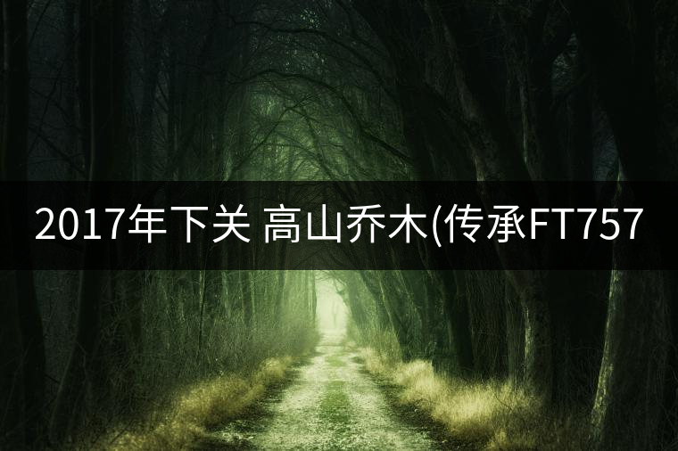 2017年下關 高山喬木(傳承FT7573)開湯 2017年下關 高山喬木(傳承FT7573)開湯