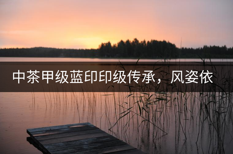 中茶甲級(jí)藍(lán)印印級(jí)傳承，風(fēng)姿依舊