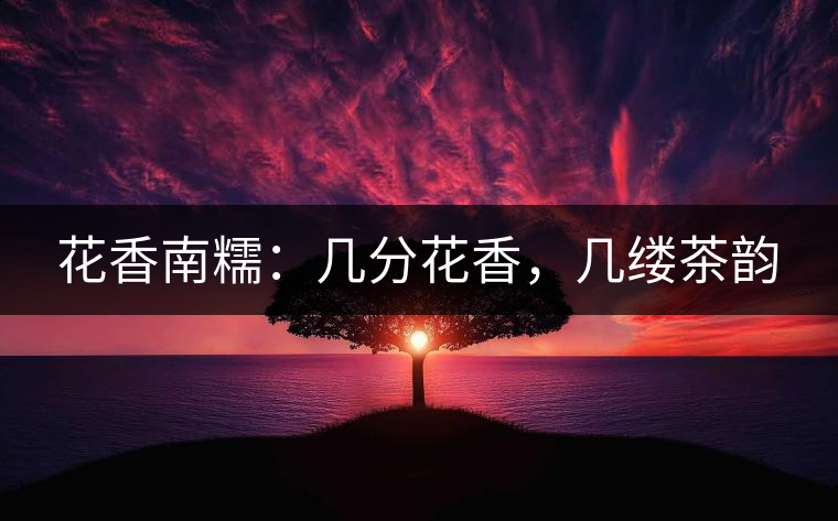 花香南糯：幾分花香，幾縷茶韻