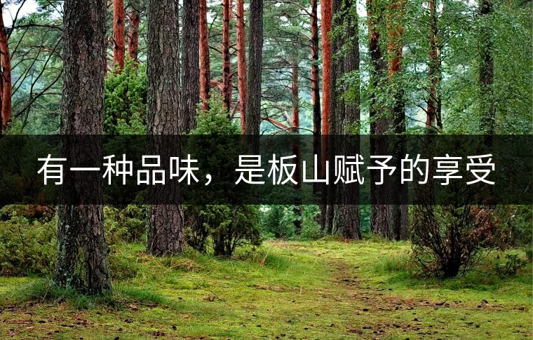 有一種品味，是板山賦予的享受