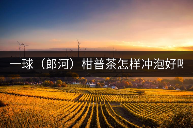 一球（郎河）柑普茶怎樣沖泡好喝？