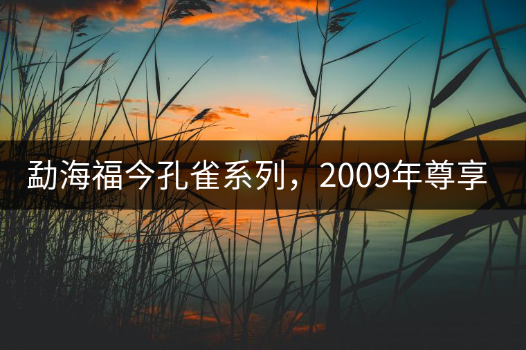 勐海福今孔雀系列，2009年尊享青餅