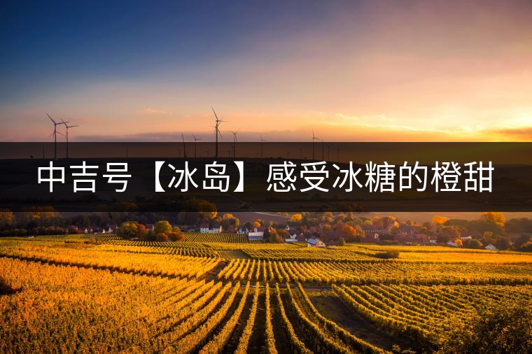 中吉號【冰島】感受冰糖的橙甜