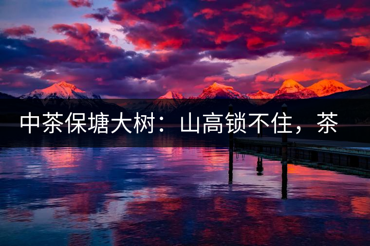 中茶保塘大樹：山高鎖不住，茶好名自傳