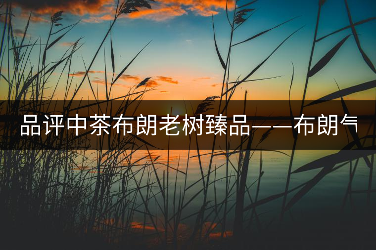 品評中茶布朗老樹臻品——布朗氣韻 濃強(qiáng)回甘 品評中茶布朗老樹臻品——布朗氣韻 濃強(qiáng)回甘