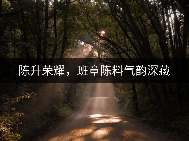 陳升榮耀，班章陳料氣韻深藏