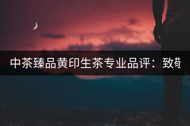 中茶臻品黃印生茶專業(yè)品評：致敬經(jīng)典 再啟新篇