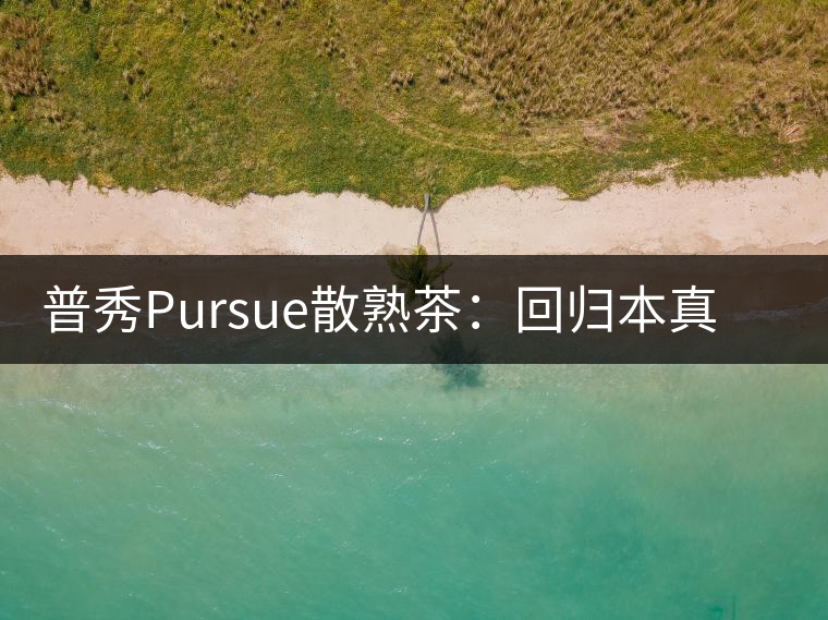 普秀Pursue散熟茶：回歸本真，一款高性價比口糧散熟茶