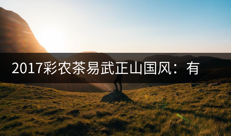 2017彩農(nóng)茶易武正山國風：有茶韻，亦有國風
